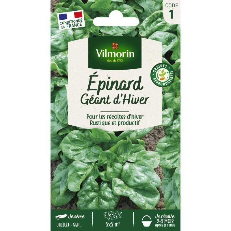 Winter spinach seeds bag Winter spinach seeds bag