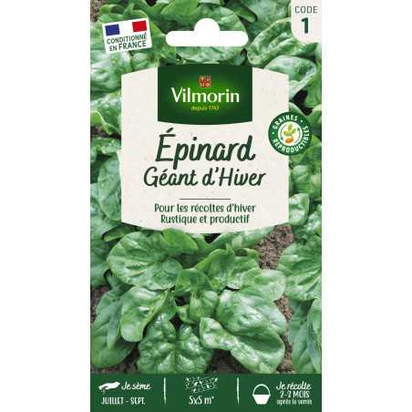 Epinard Géant d'Hiver