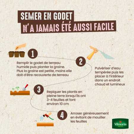 Vilmorin Graines Pastèque Sugar Baby - Semences Potagères