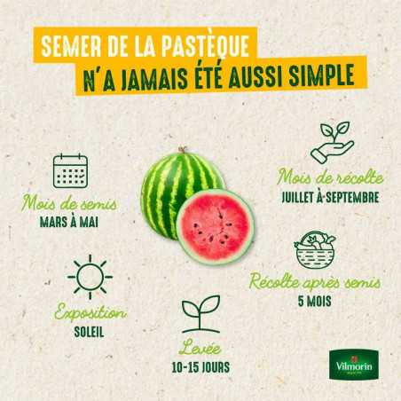 Watermelon sugar baby product sheet from multitanks 3682041