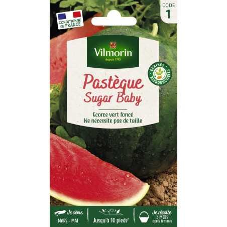 Fiche produit Pastèque sugar baby