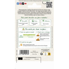 Sachet graines Haricot d'espagne varié