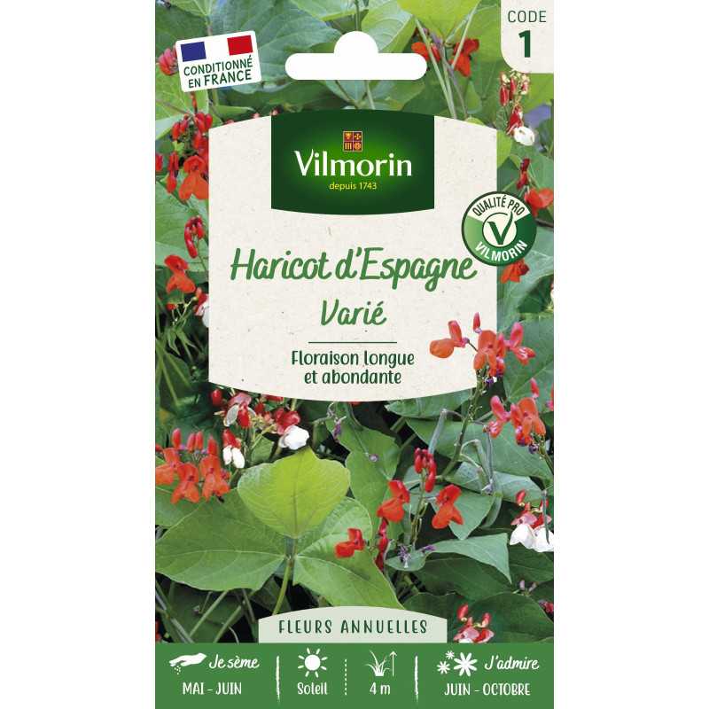 Sachet graines Haricot d'espagne varié