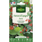 Sachet graines Haricot d'espagne varié