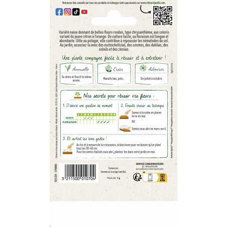 Sachet graines Rose d'inde naine variée