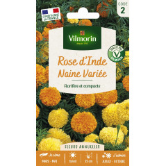 Sachet graines Rose d'inde naine variée