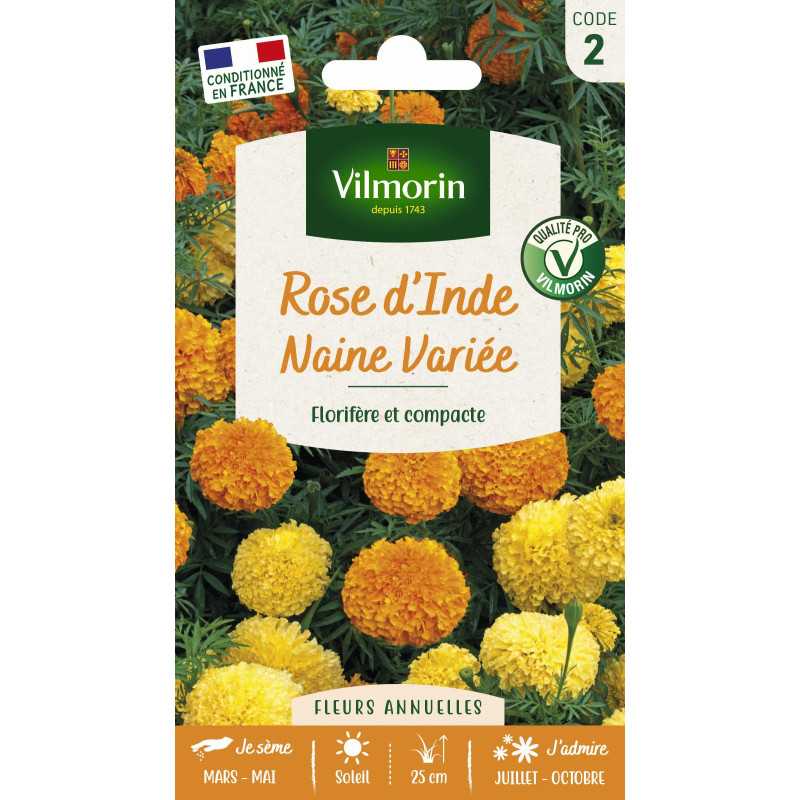 Sachet graines Rose d'inde naine variée Sachet graines Rose d'inde naine variée