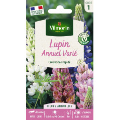 Produktblatt Lupin jährlich in Mischung von multitanks 5341641
