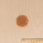 Amarante fox tail seed bag VILMORIN Amarante fox tail seed bag VILMORIN