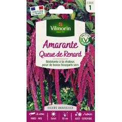 Amarante queue de renard Vilmorin