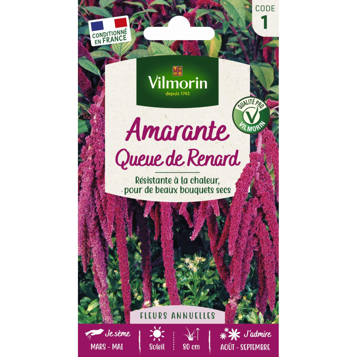 Semillas de Amarante Fox Tail. Apreciado por su follaje verde Semillas de Amarante Fox Tail. Apreciado por su follaje verde