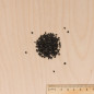 Semillas de sobre cebollino de China