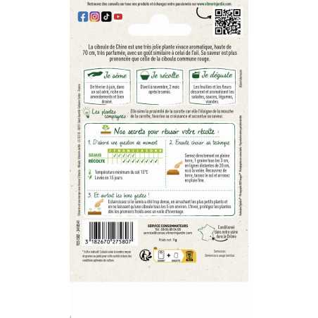 Sachet graines ciboule de chine