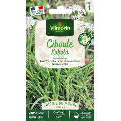 Sachet graines ciboule de chine