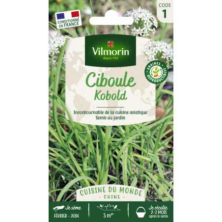 Sachet graines ciboule de chine