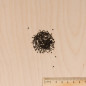 Varied Pervenche seeds bag from Madagascar Varied Pervenche seeds bag from Madagascar
