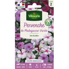 Sachet graines Pervenche de Madagascar variée