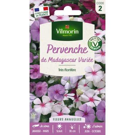 Sachet graines Pervenche de Madagascar variée