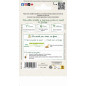 Sachet graines Campanule des carpathes bleue Sachet graines Campanule des carpathes bleue