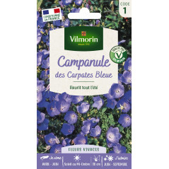 Campanule Seeds Bolsa de Cárpatos Azules