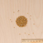 Graines de Moutarde blanche BIO , boite de 375 grs