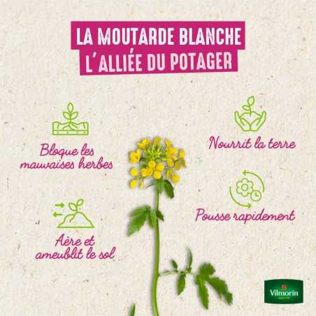 Organic White Mustard Seeds, scatola da 375g