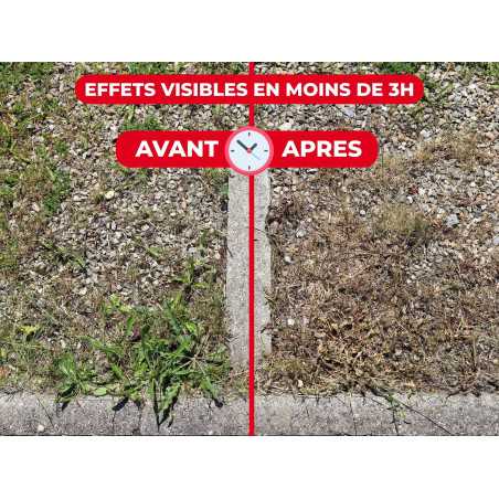 Ultra-Concentrated Weed Remover - up to 177 m² | Protect Expert