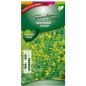 White mustard Green fertiliser 100gr 100m2 White mustard Green fertiliser 100gr 100m2