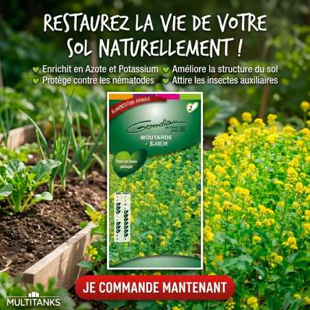 Gondian Moutarde Blanche Engrais Vert 100g 100m²