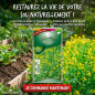 Mostaza blanca Abono verde 100gr 100m2 Mostaza blanca Abono verde 100gr 100m2