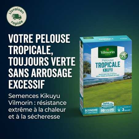 Multitanks Césped Kikuyu 500 gr - Césped Mediterráneo Resistente