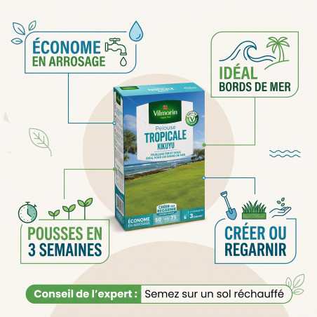 Multitanks Césped Kikuyu 500 gr - Césped Mediterráneo Resistente