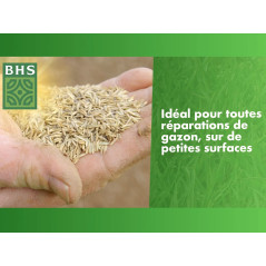 Césped de resiembra y renovación BHS 5 kg - GRE5 - Reparación Express