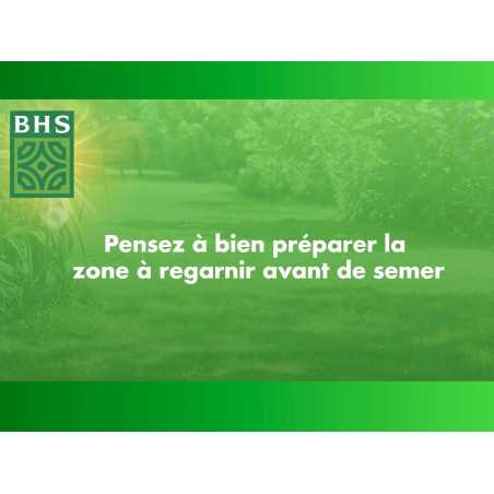 BHS Lawn Overseeding Renovation 5 kg | GRE5 3366671300281