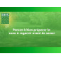 BHS Lawn Overseeding and Renovation 5 kg - GRE5 - Express Repair BHS Lawn Overseeding and Renovation 5 kg - GRE5 - Express Repair