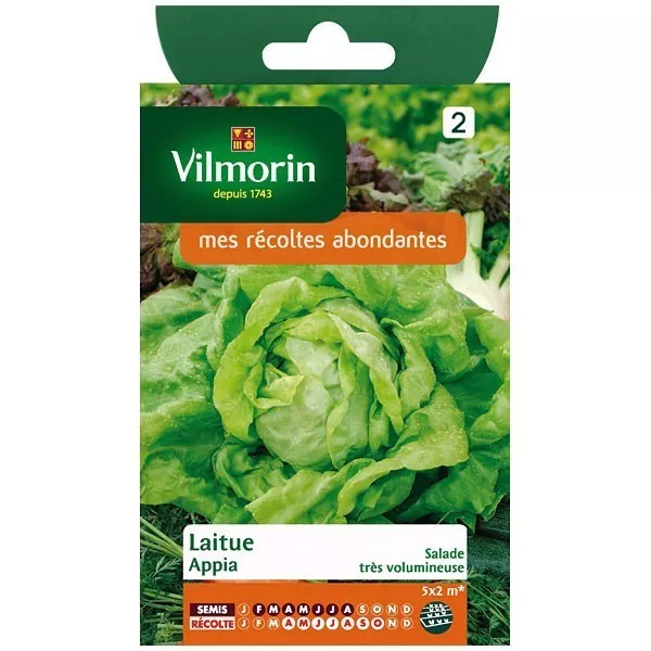 Product sheet Lettuce Appia
