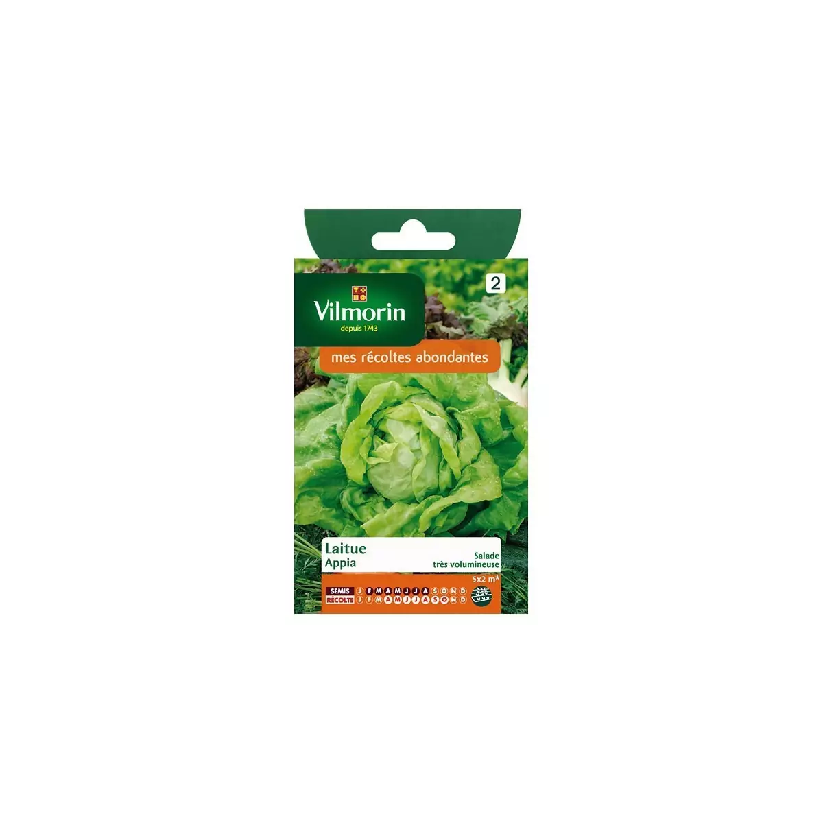Product sheet Lettuce Appia