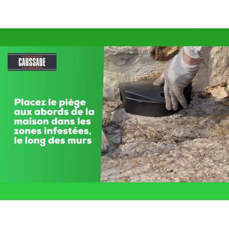 Pack of 2 Caussade Canadian Rat Poison - 600 g