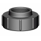 S100x8 Female to 2'' BSP Female Fitting