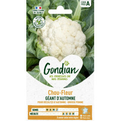 Chou-fleur Géant d'Automne Gondian - Graines potagères