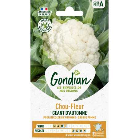 Autumn Giant Cauliflower Seeds Gondian - Brassica oleracea
