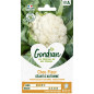 Autumn Giant Cauliflower Seeds Gondian - Brassica oleracea Autumn Giant Cauliflower Seeds Gondian - Brassica oleracea