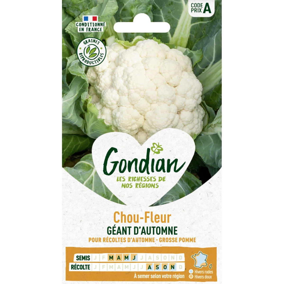 Blumenkohlsamen Herbstriese Gondian - Brassica oleracea