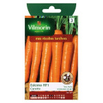 Vegetable seeds