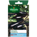 Aubergines