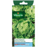 Batavia lettuce