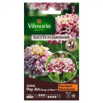 Zinnia