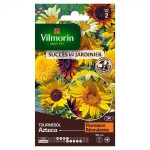 Girasole