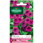 Petunia