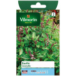 Basil